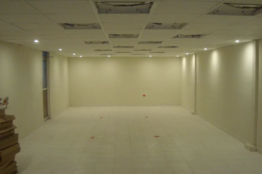 Proyecto nuevo (42)